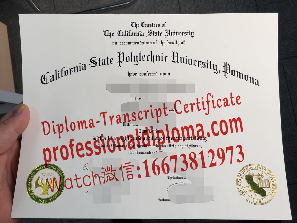 办理购买加州州立大学文凭毕业证