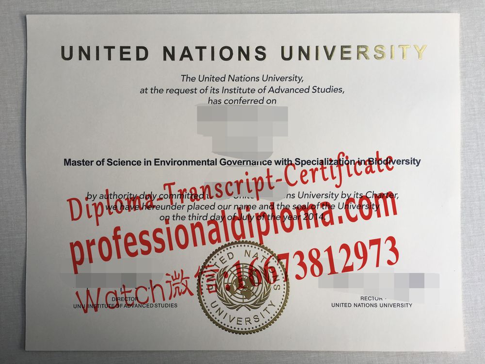 办理购买联合国大学文凭毕业证